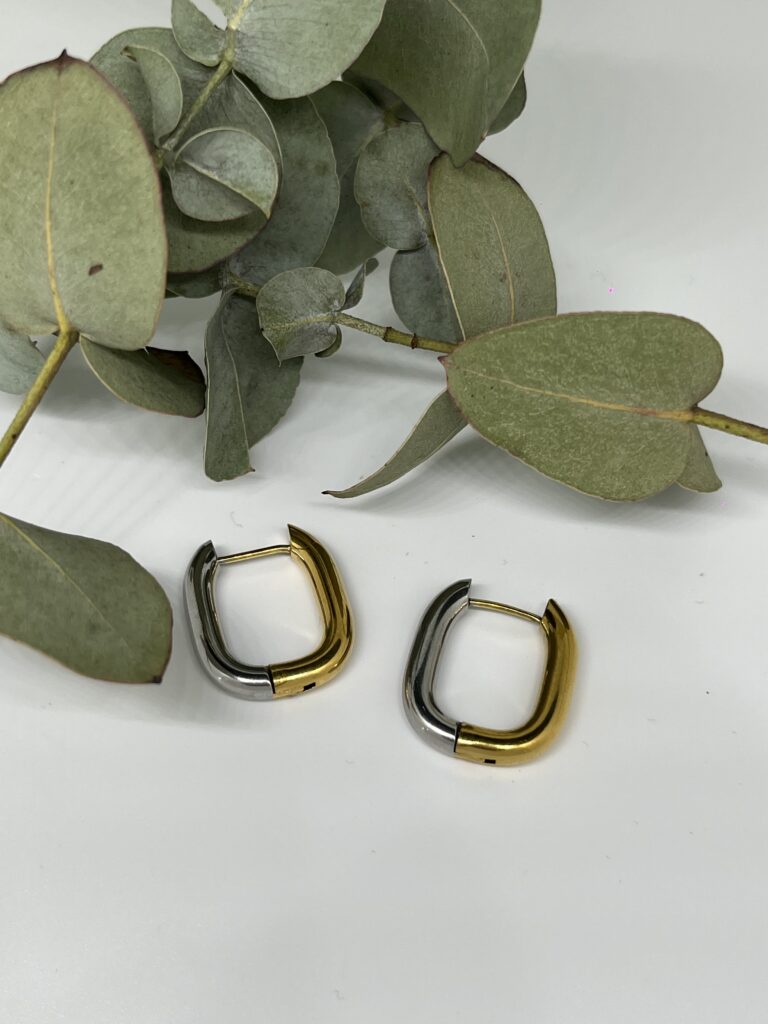 Two Toned Earrings