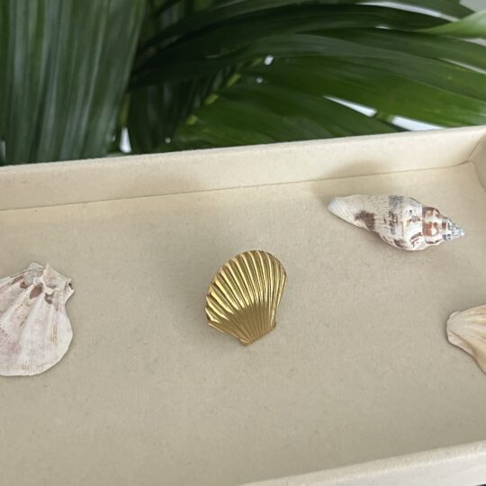 Shell Ring