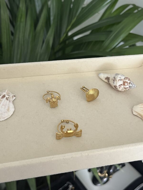 Salty Rings - Image 3