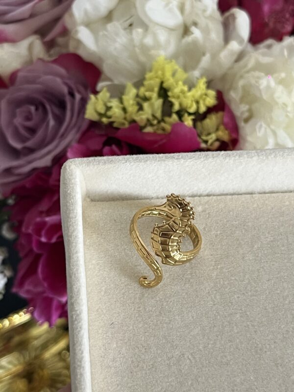 Ippokampos Ring