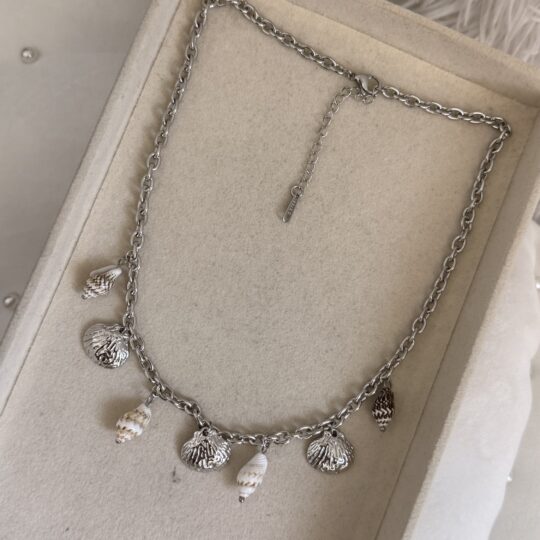 Shell Charm Necklace